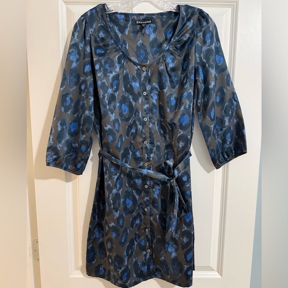 Express Blue and Black Leopard Silk Dress